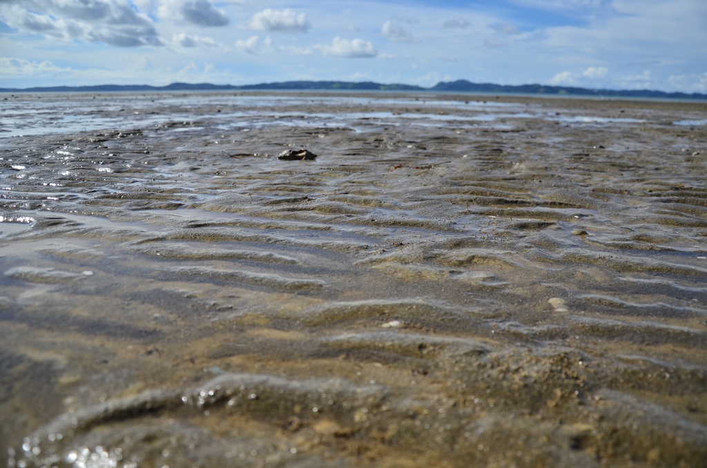 2017-03 New Zealand/Hunua/DSC_0271.JPG